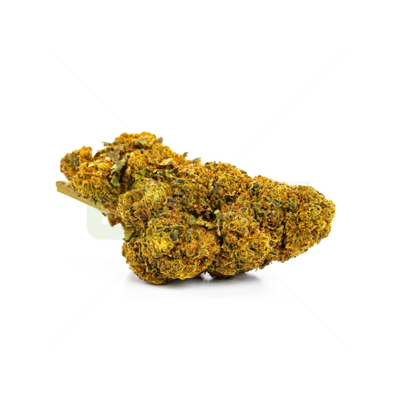 CBD Orange Bud Indoor 25% flowers