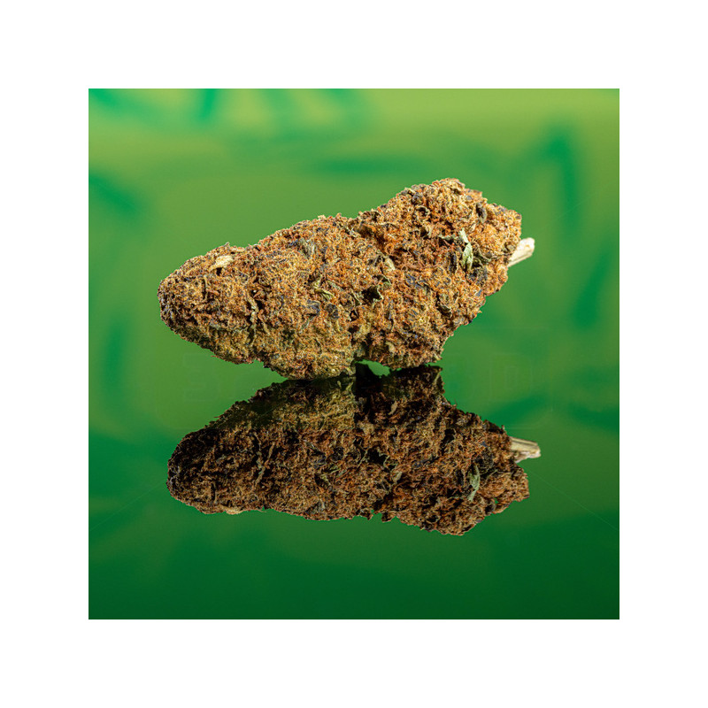 Fleurs de CBD Orange Bud Indoor 25%