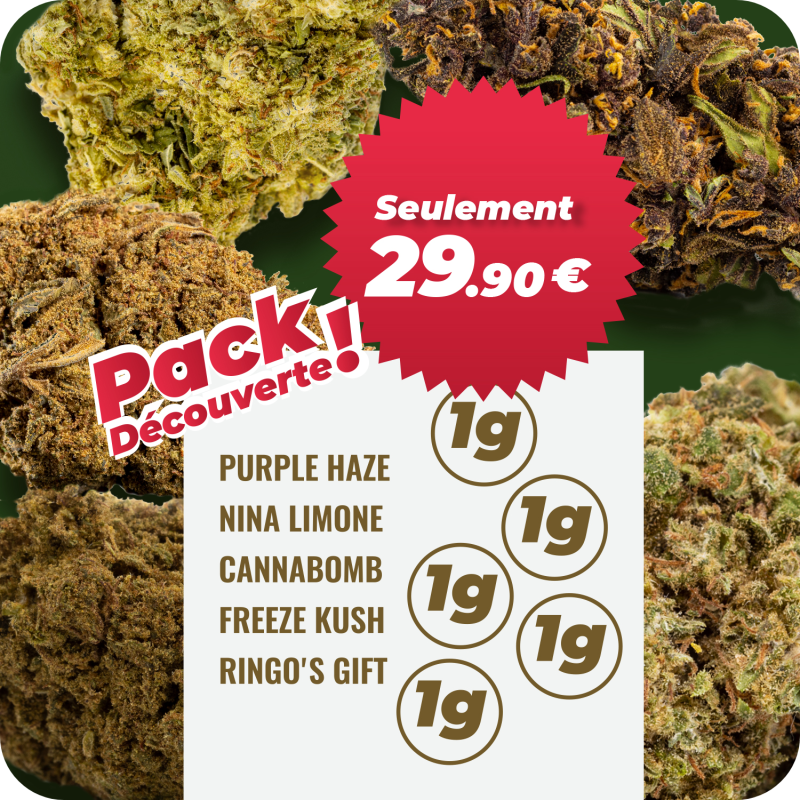 Pack Découverte Fleurs