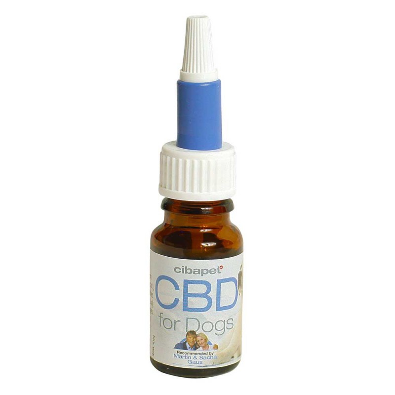 CBD-Öl für Hunde 4