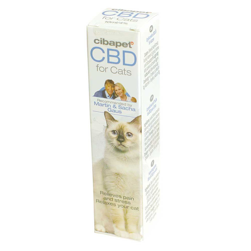 CBD-Öl für Katzen 4