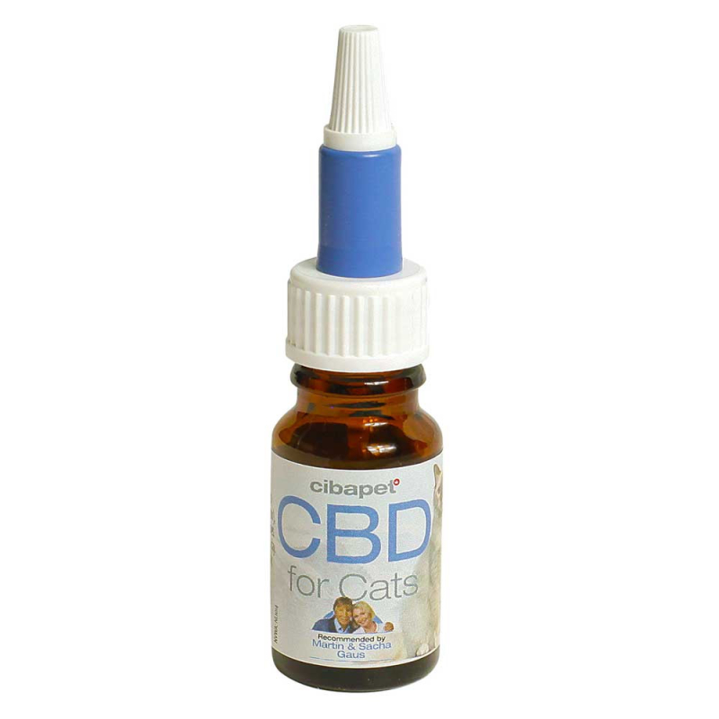 CBD-Öl für Katzen 4