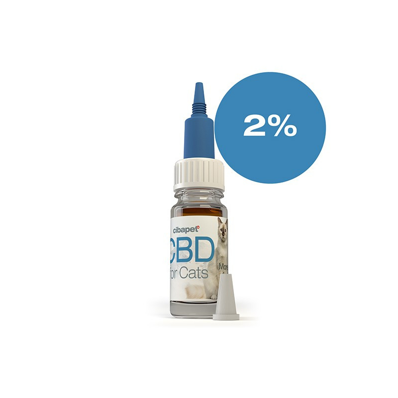 CBD oil for cats 2%