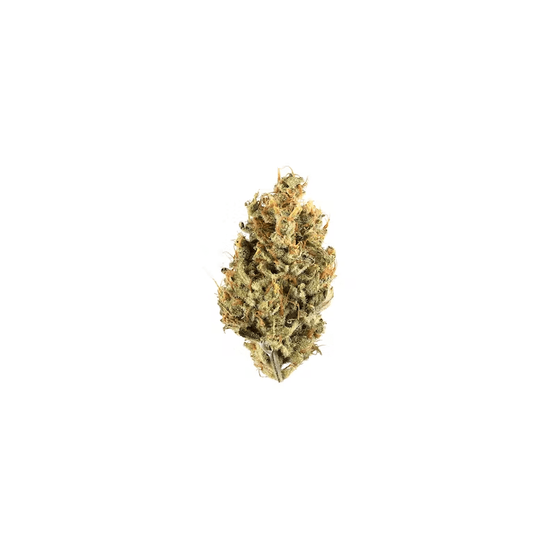 CBD Blume Karamell Candy Indoor (15 %)