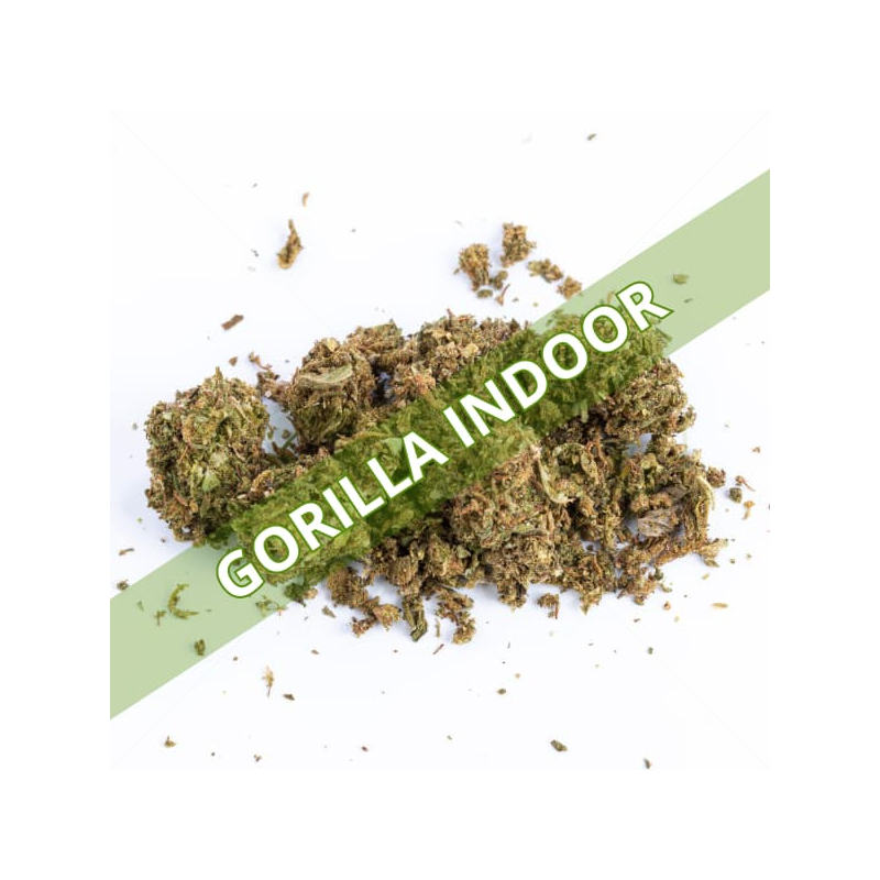 Trim CBD Gorilla Indoor - 20g