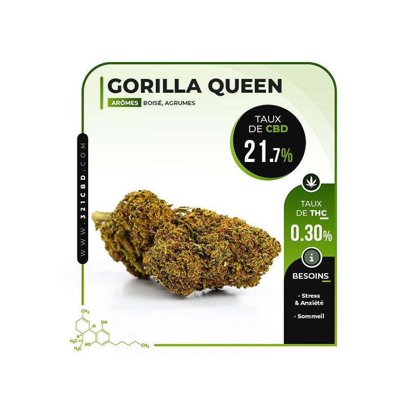 Gorilla Queen CBD 21,7%