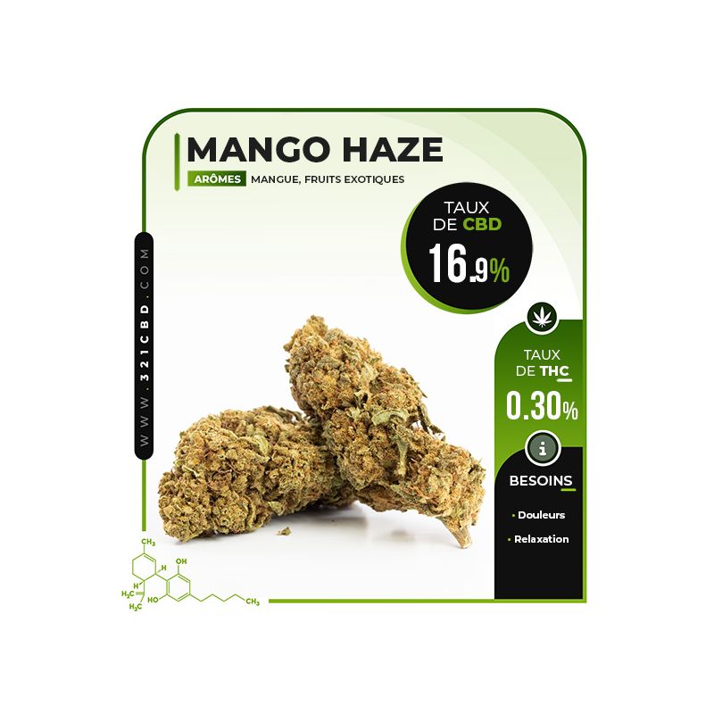 CBD Blüte Mango Haze 16.9%