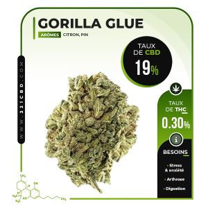 Gorilla Glue Indoor CBD 19%