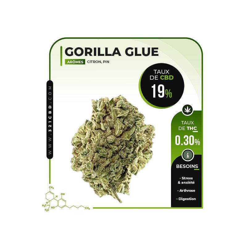 Gorilla Glue Indoor CBD 19%