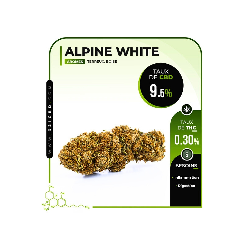 CBG Alpine White 9,5%