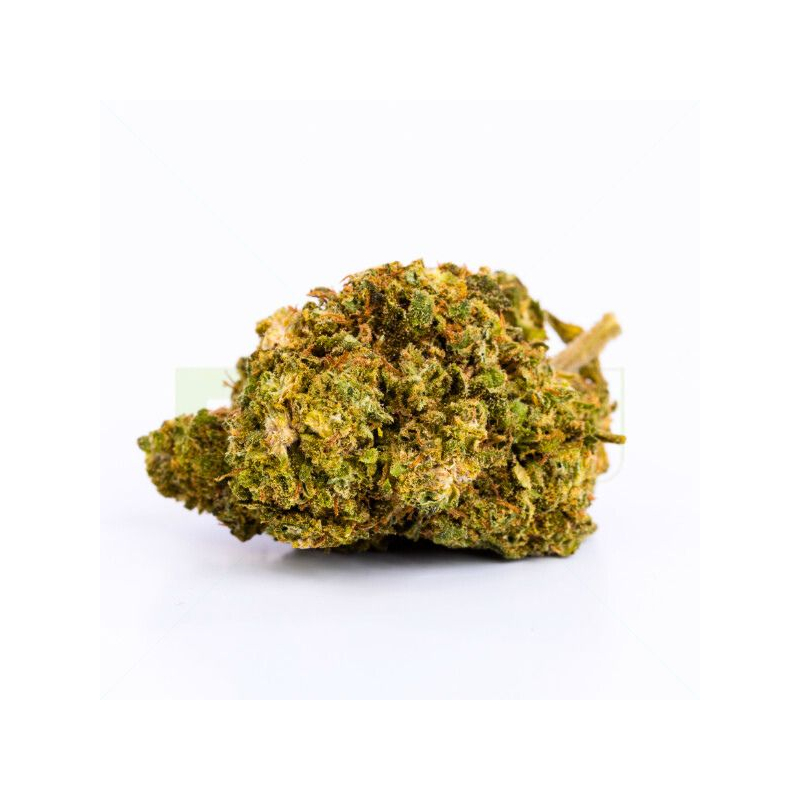 CBD Blüte Nina Limone 9,3%