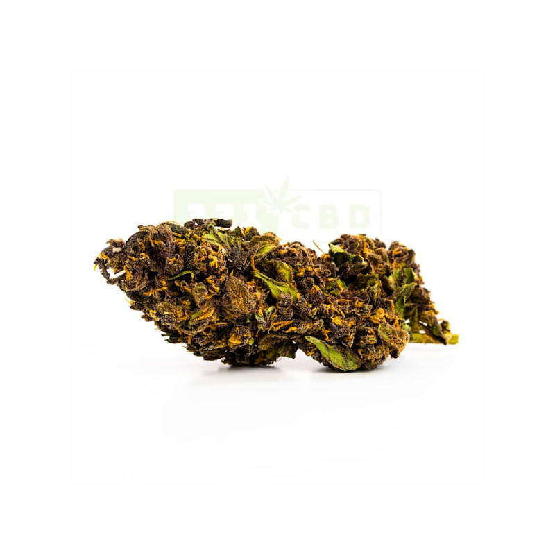 Fleur CBD Purple Haze 19,7%