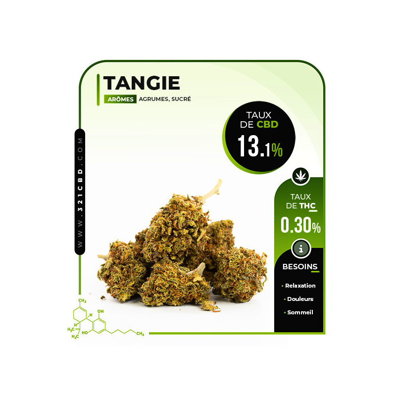 CBD Tangie 13.1%