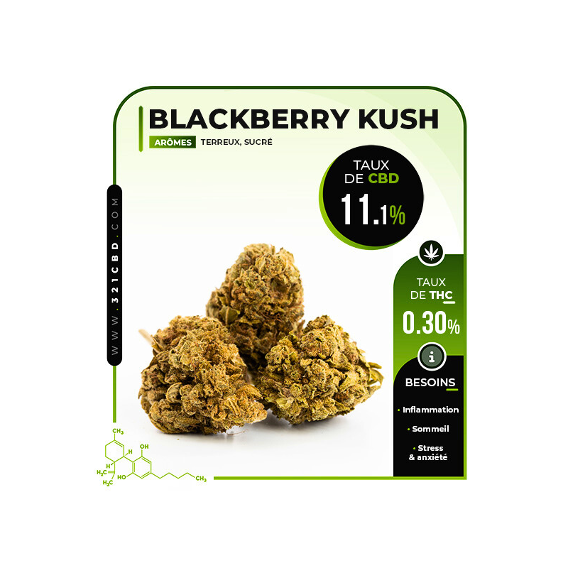 CBD Blackberry Kush 11,1%