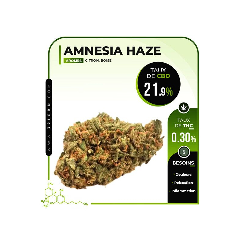 CBD Amnesia Haze Indoor Blume (21,9 %)