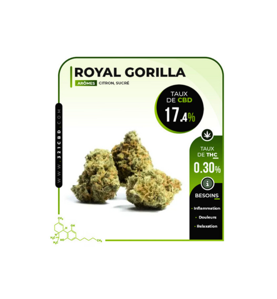 Royal Gorilla Indoor CBD-Blüte (17,4 %)