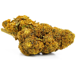 CBD Orange Bud Indoor 25% Blüten