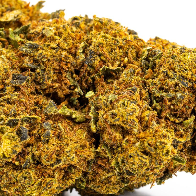 CBD Orange Bud Indoor 25% flowers