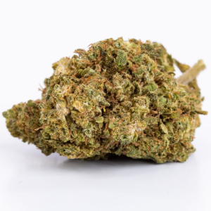 CBD Flower Nina Limone 9.3%