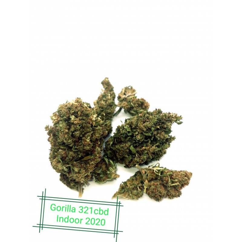 CBD Blume Indoor Gorilla Kleber 11% (auf Französisch)