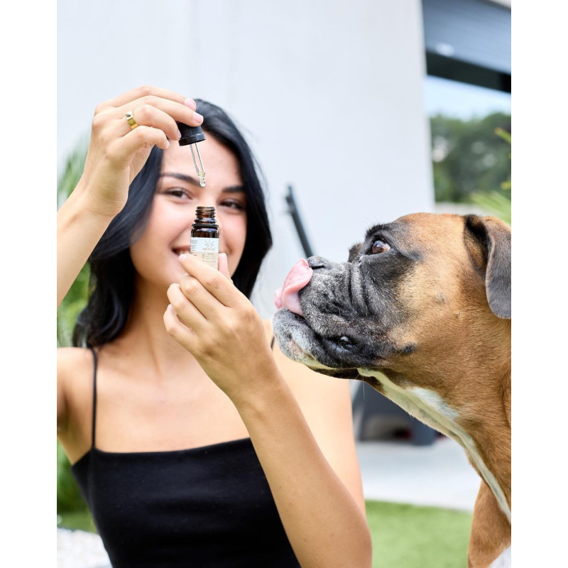 CBD Öl für Hunde 4% - 10ml