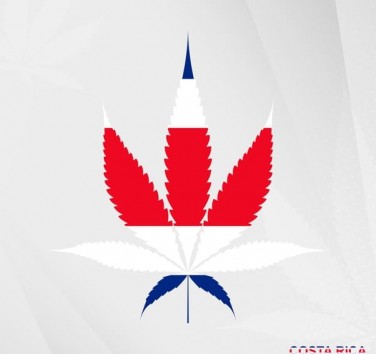 costa rica cannabis me?dcial comp