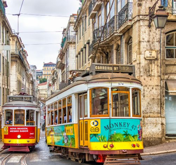 cannabis portugal