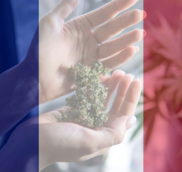 légalisation cannabis france