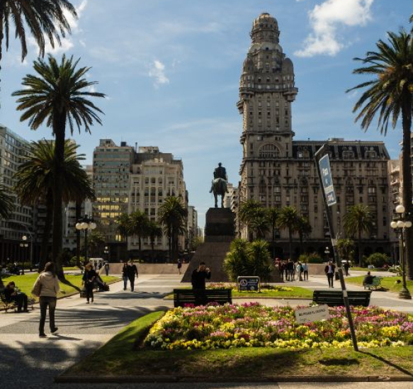 cannabis uruguay