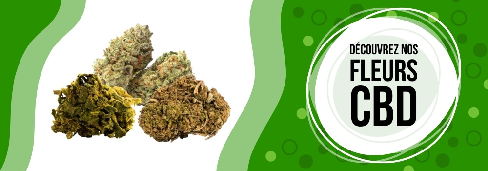 shop cannabidiol pas cher