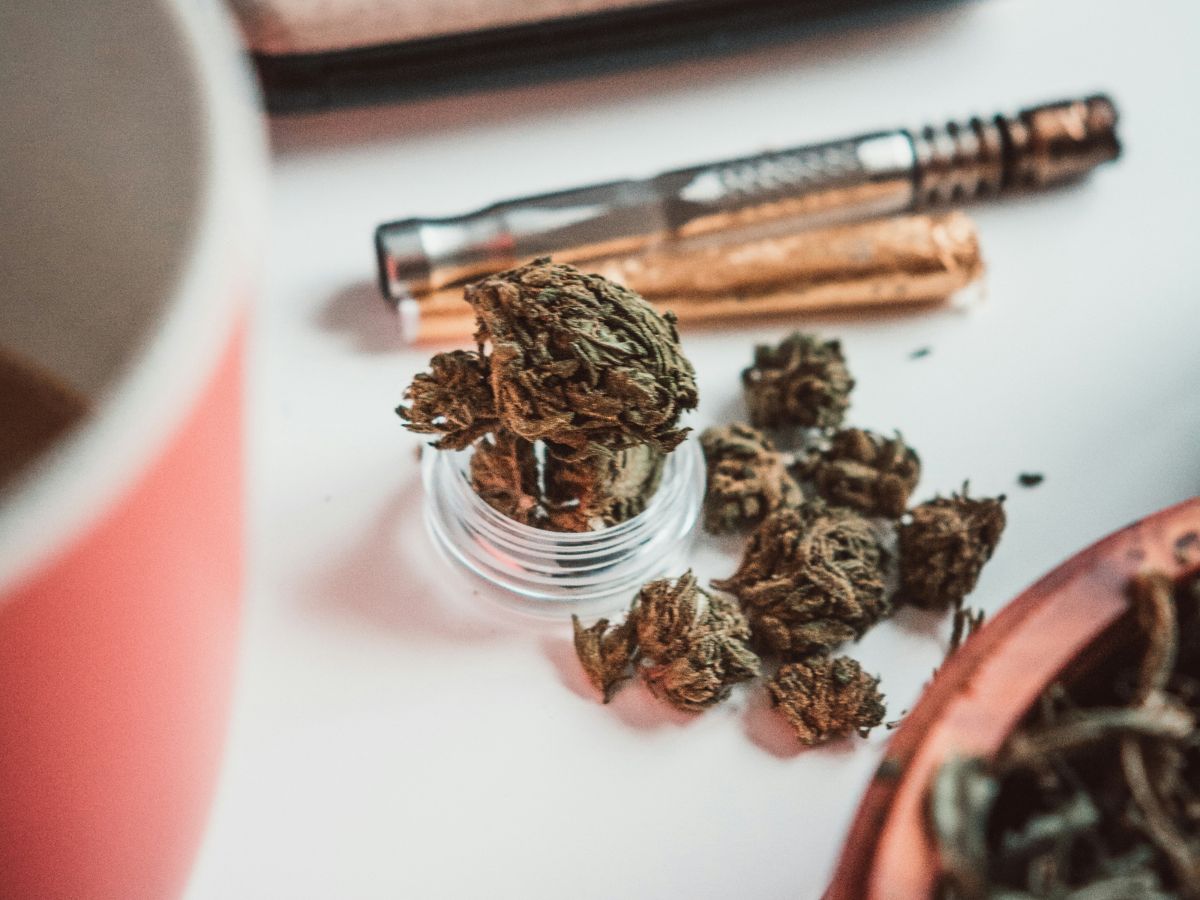 Nos conseils pratiques pour bien conserver votre fleur de CBD