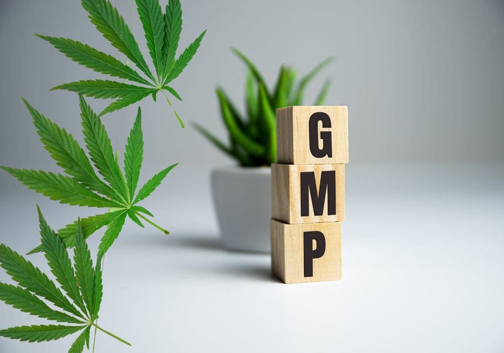 gmp or bpf