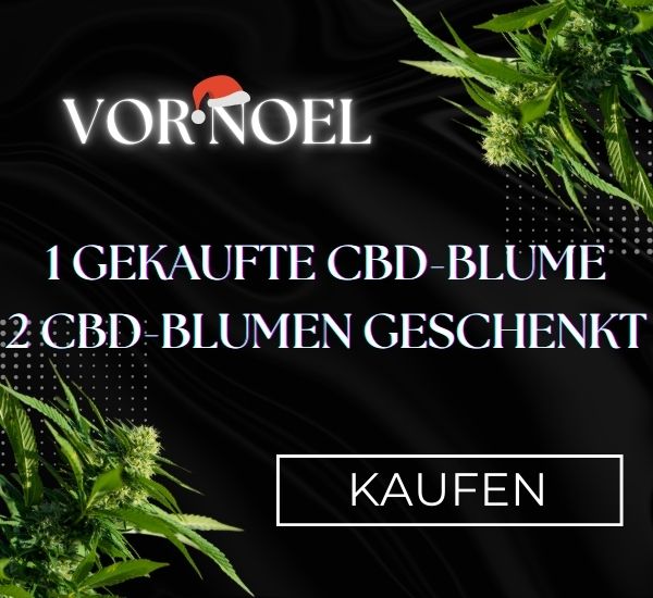 Ihr führender CBD Online-Shop mit kostenloser Lieferung