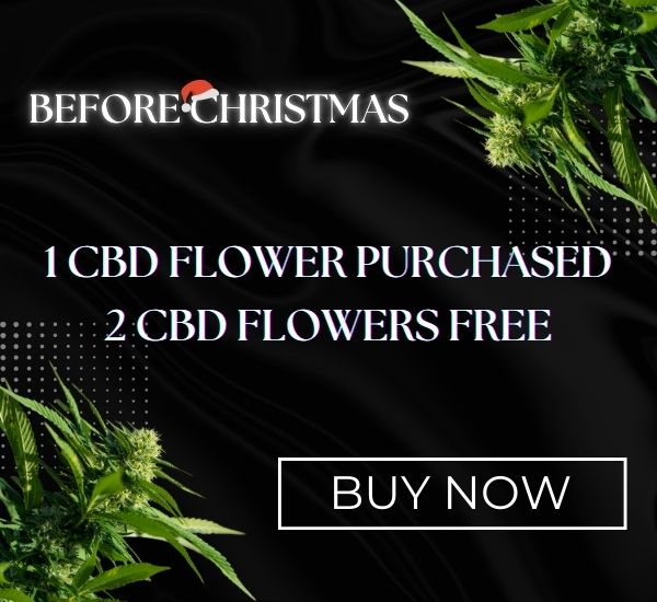 Free delivery to your home from a leading online CBD supplier