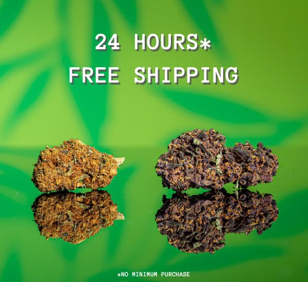 Free delivery to your home from a leading online CBD supplier