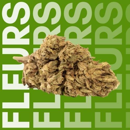 Premium selection|CBD flowers